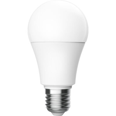 LED Bulb T